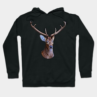 Stag Head Hoodie